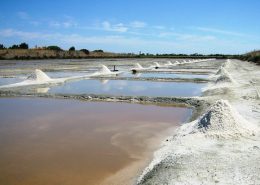 lithium mining