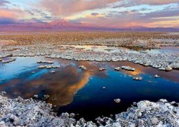 global lithium market