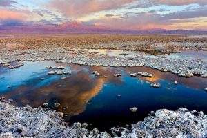 china owns half-lithium