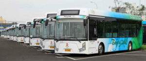 electric buses