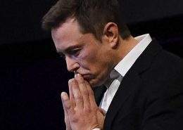Tesla market share